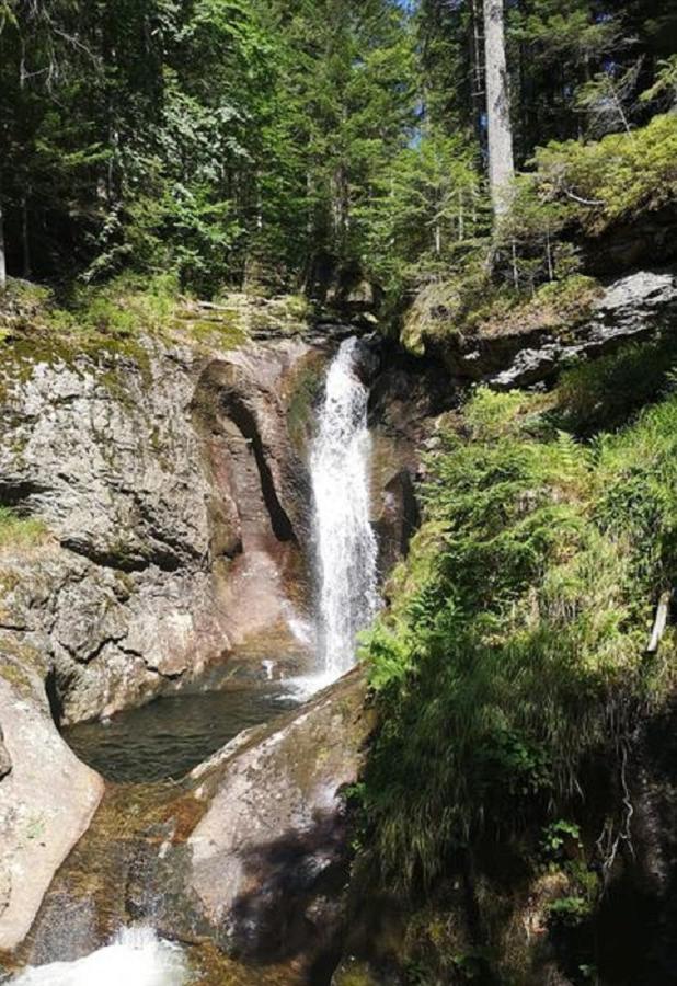 Ferienland Sonnenwald Fewo 46 Und Studio 50 In Schoefweg Bayerischer Wald Esterno foto
