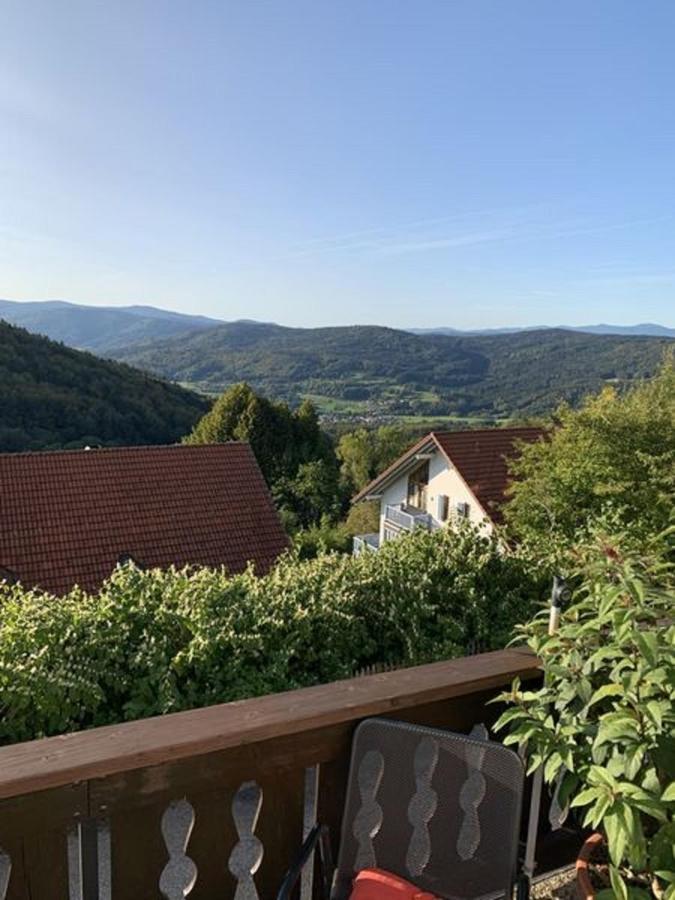 Ferienland Sonnenwald Fewo 46 Und Studio 50 In Schoefweg Bayerischer Wald Esterno foto