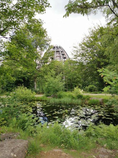 Ferienland Sonnenwald Fewo 46 Und Studio 50 In Schoefweg Bayerischer Wald Esterno foto