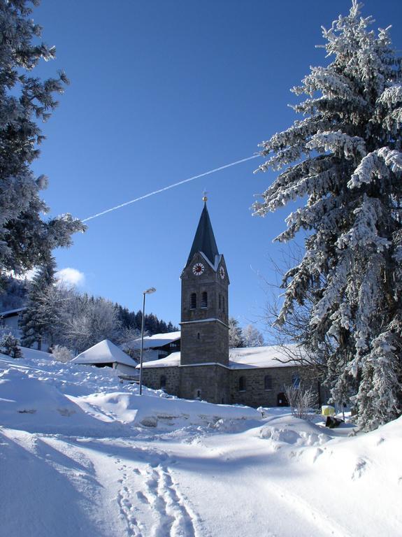 Ferienland Sonnenwald Fewo 46 Und Studio 50 In Schoefweg Bayerischer Wald Esterno foto