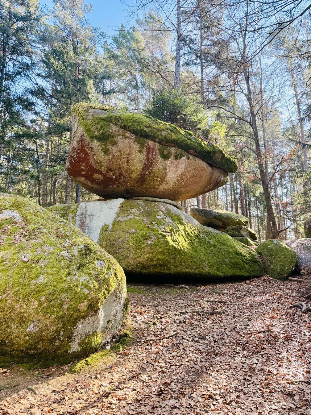 Ferienland Sonnenwald Fewo 46 Und Studio 50 In Schoefweg Bayerischer Wald Esterno foto