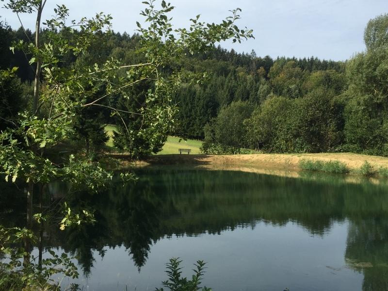 Ferienland Sonnenwald Fewo 46 Und Studio 50 In Schoefweg Bayerischer Wald Esterno foto